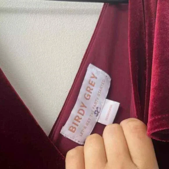 Birdy Grey Velvet Hannah Dress - Picture 4 of 4